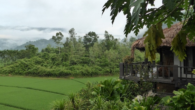 Mai Chau Ecolodge, Nebelschleier über neongrünen Reisfeldern